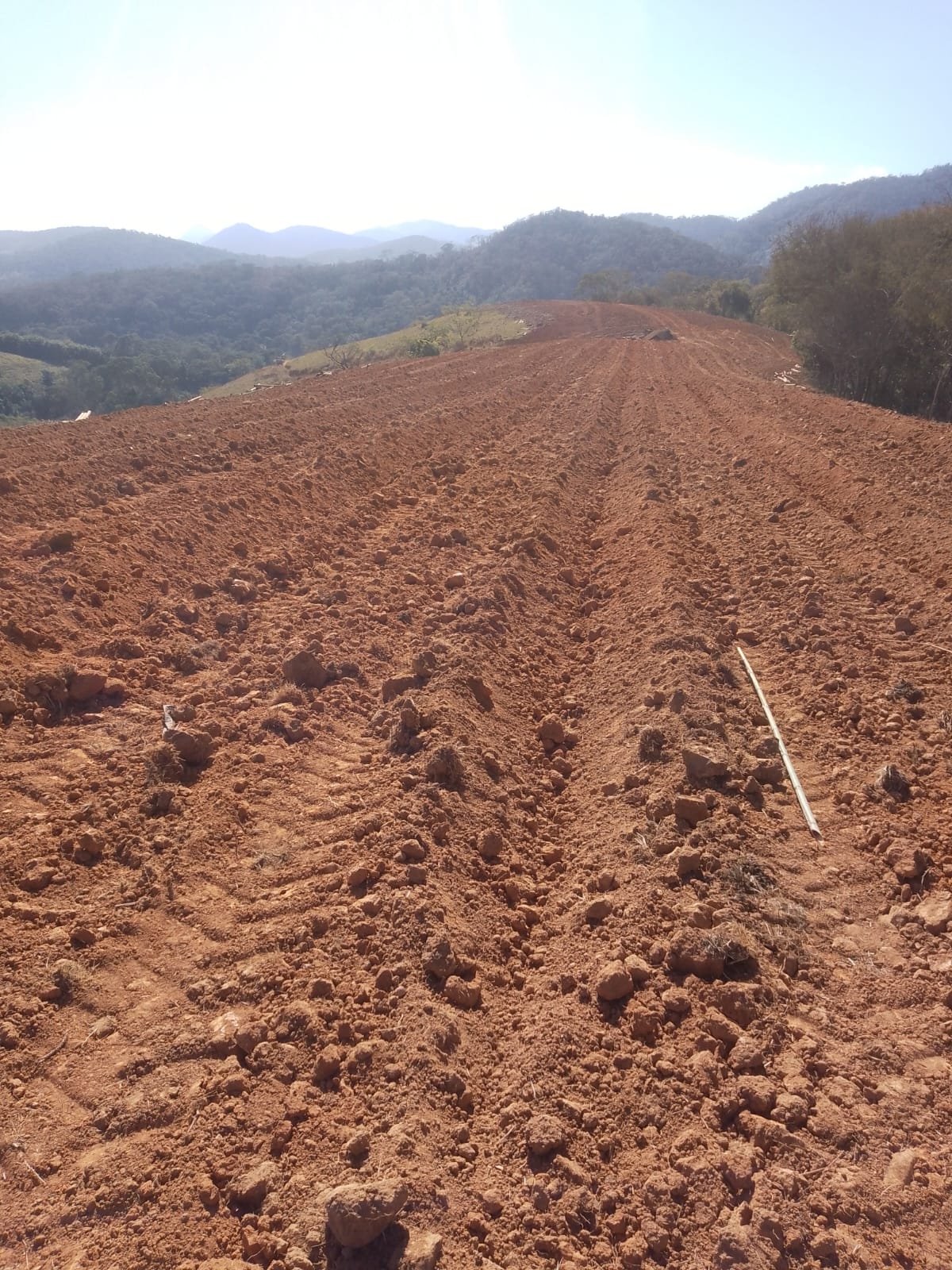 WhatsApp Image 2025-11-24 at 16.41.31